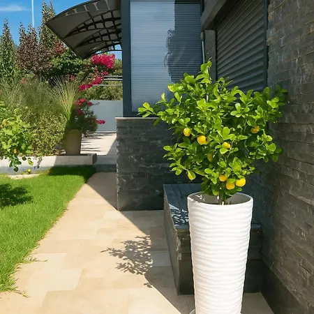 Adavilla Elite Villa