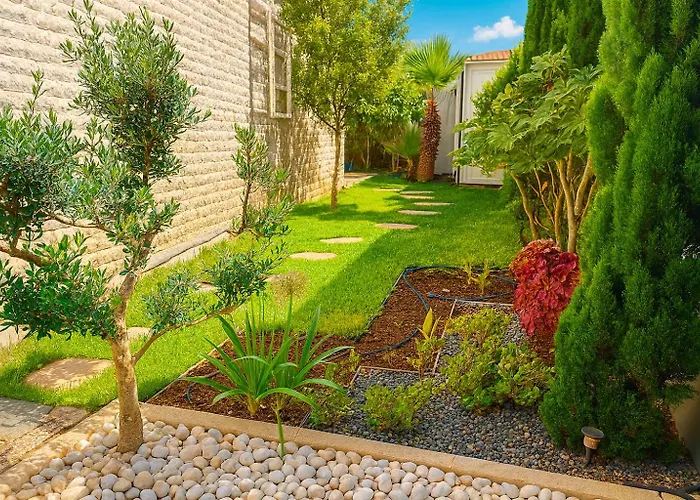 别墅 Vibavilla Elite