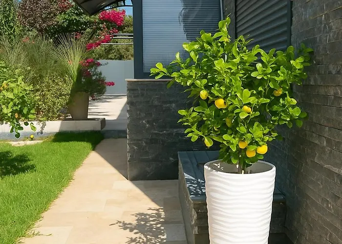 Vibavilla Elite Villa